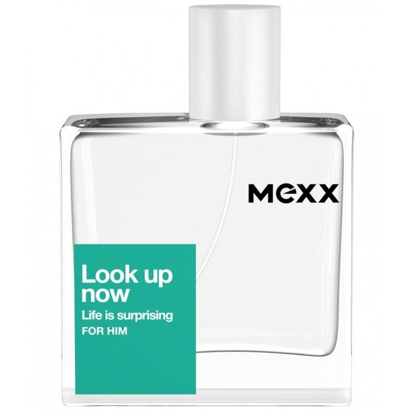 мужская парфюмерия/MEXX/Look Up Now: Life Is Surprising For Him