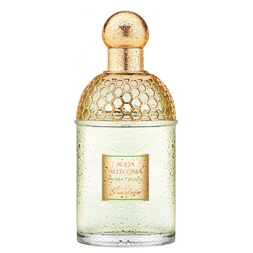 женская парфюмерия/Guerlain/Aqua Allegoria Herba Fresca