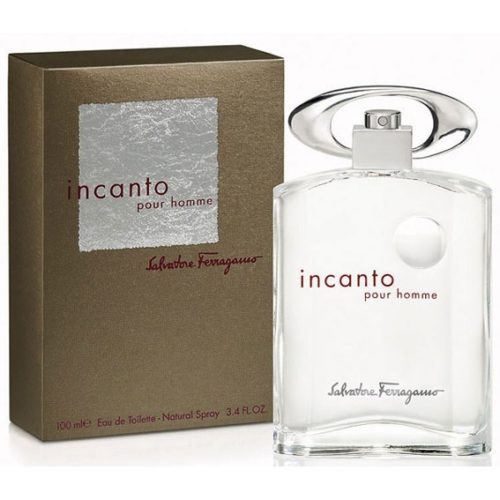 мужская парфюмерия/Salvatore Ferragamo/Incanto pour Homme