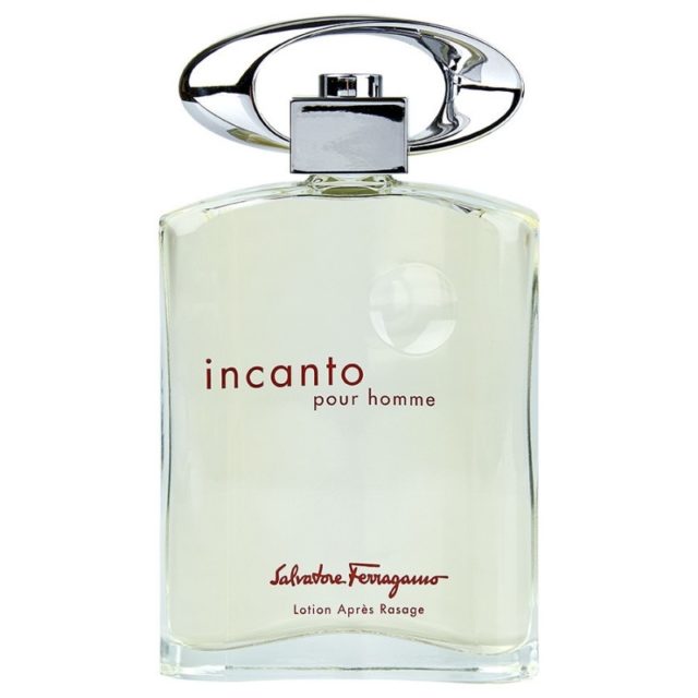 мужская парфюмерия/Salvatore Ferragamo/Incanto pour Homme